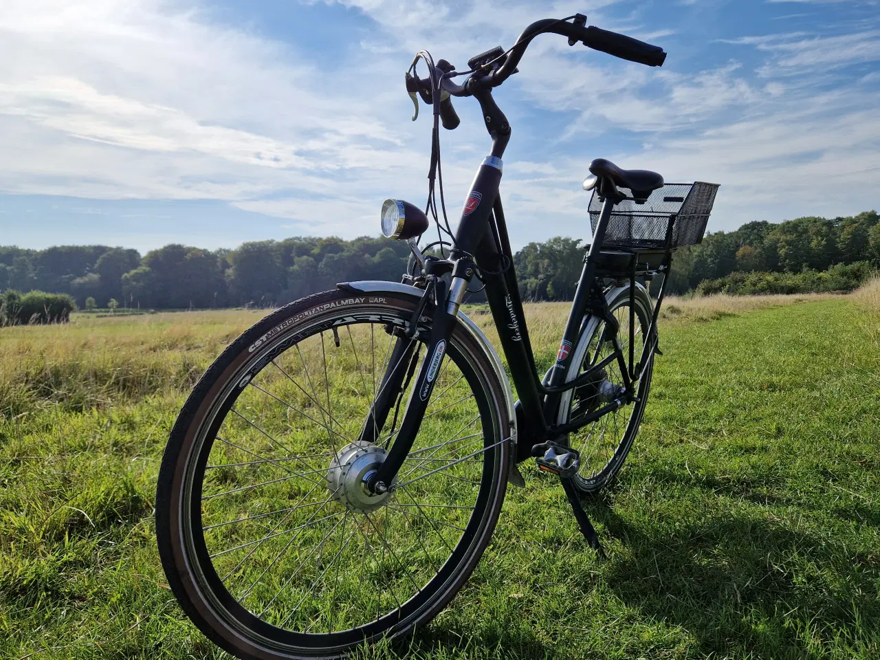 Billede 9 - Lindebjerg elcykel model 30-1, 53 cm med 7 gear 