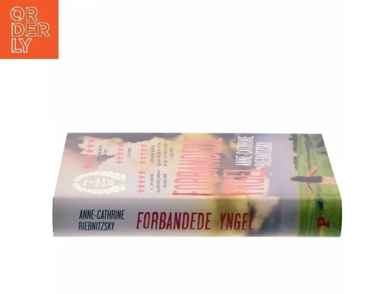Billede 2 - Forbandede Yngel af Anne-Cathrine Riebnitzsky (Bog)