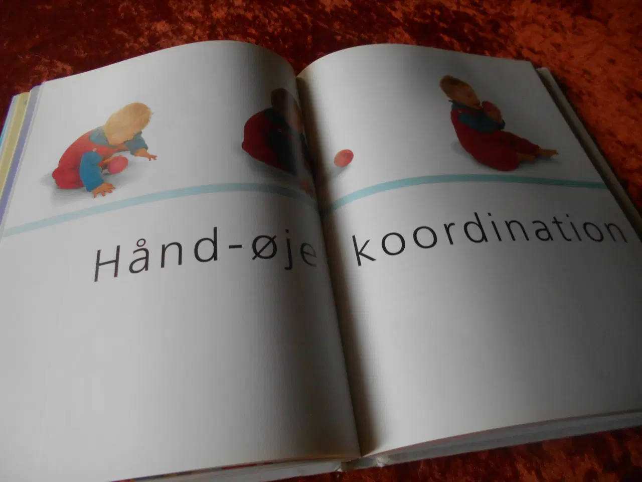 Billede 3 - Den kvikke baby, Richard C. Woolfson