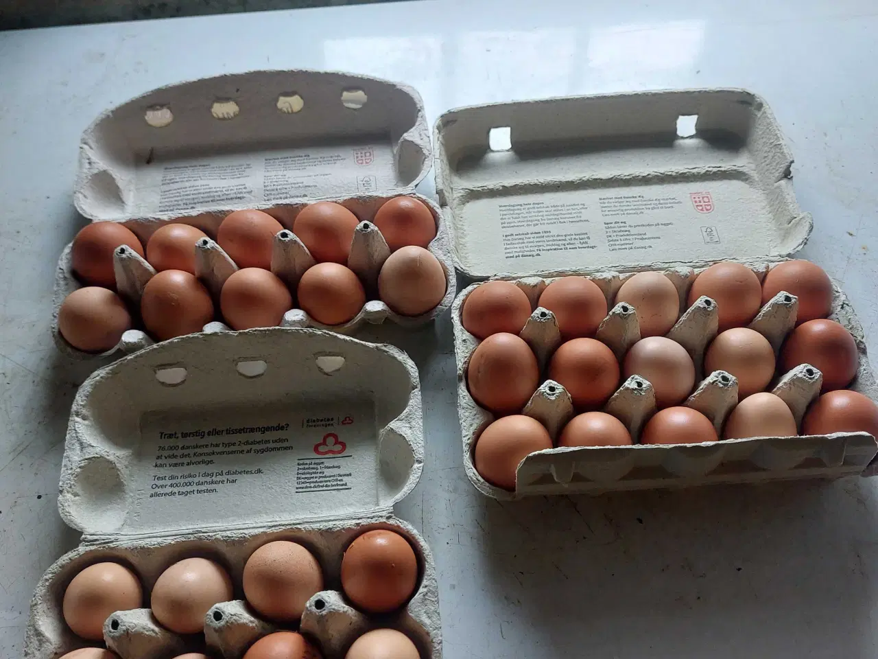 Billede 2 - Friske landæg 