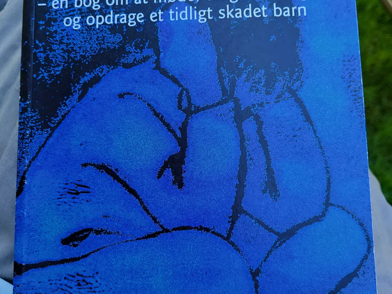 Billede 1 - Kirre af Gunilla O. Wahlström
