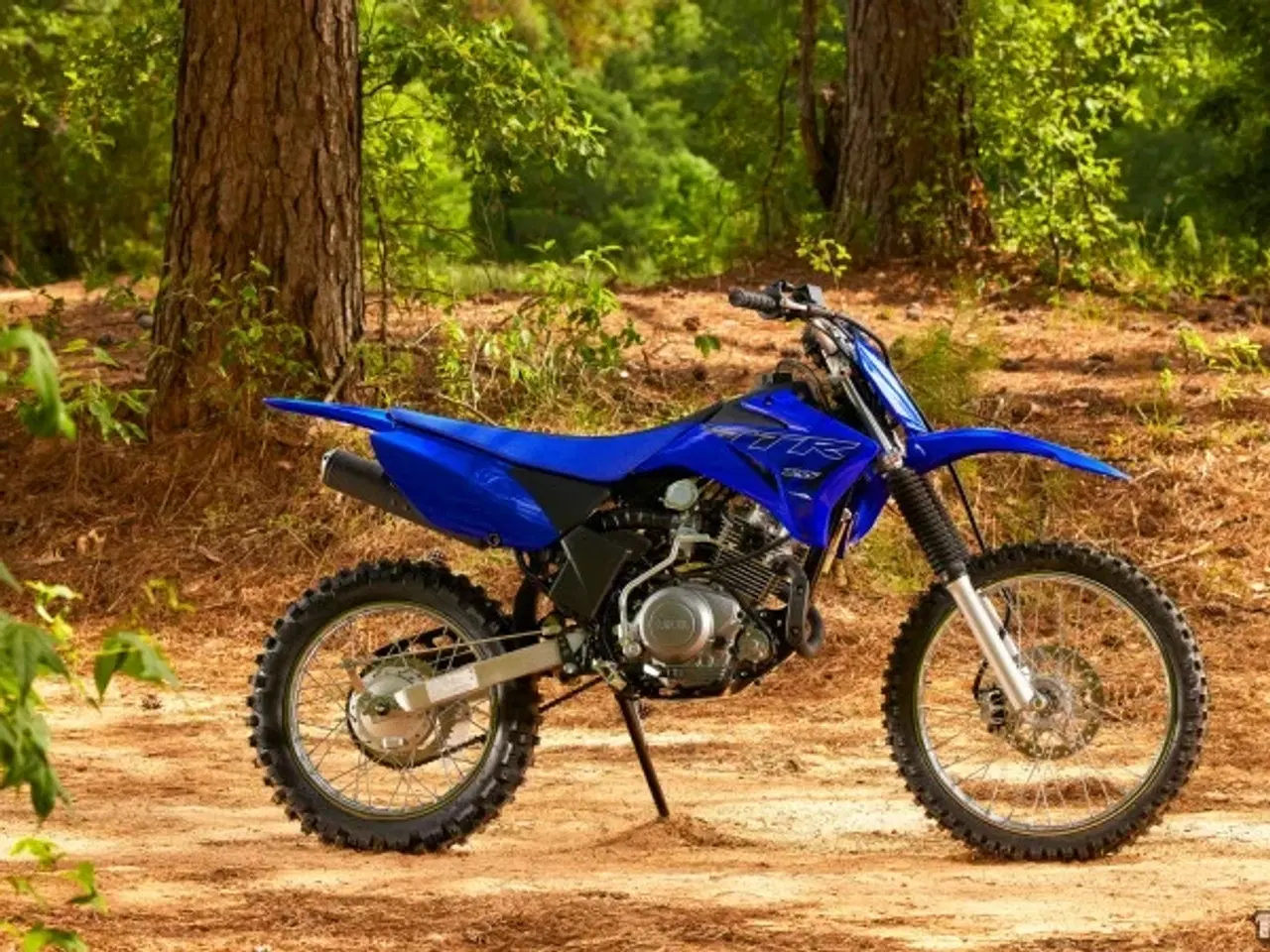 Billede 11 - Yamaha TTR 125