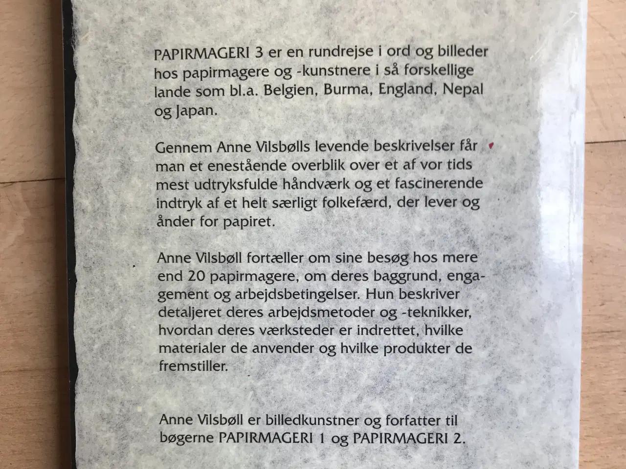 Billede 4 - Bog Anne Vilsbøll PapirMageri