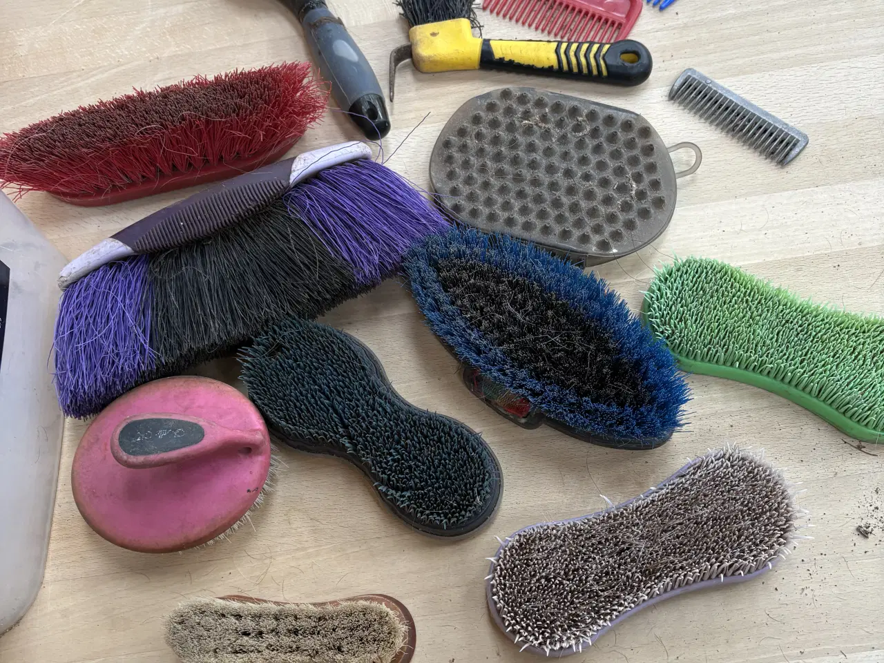 Billede 2 - Strigler 