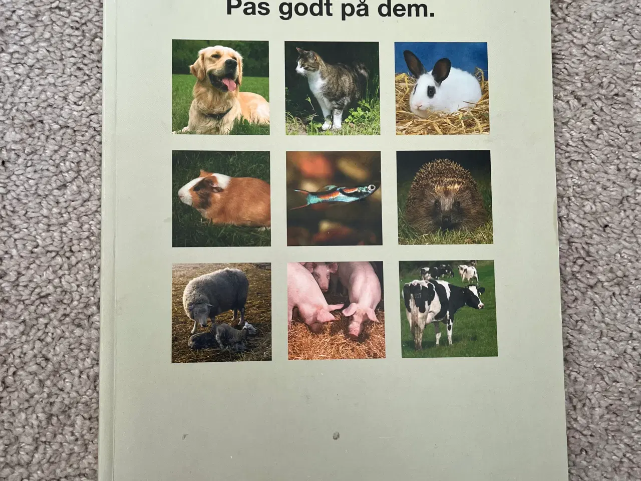 Billede 2 - Bøger og dvd film 