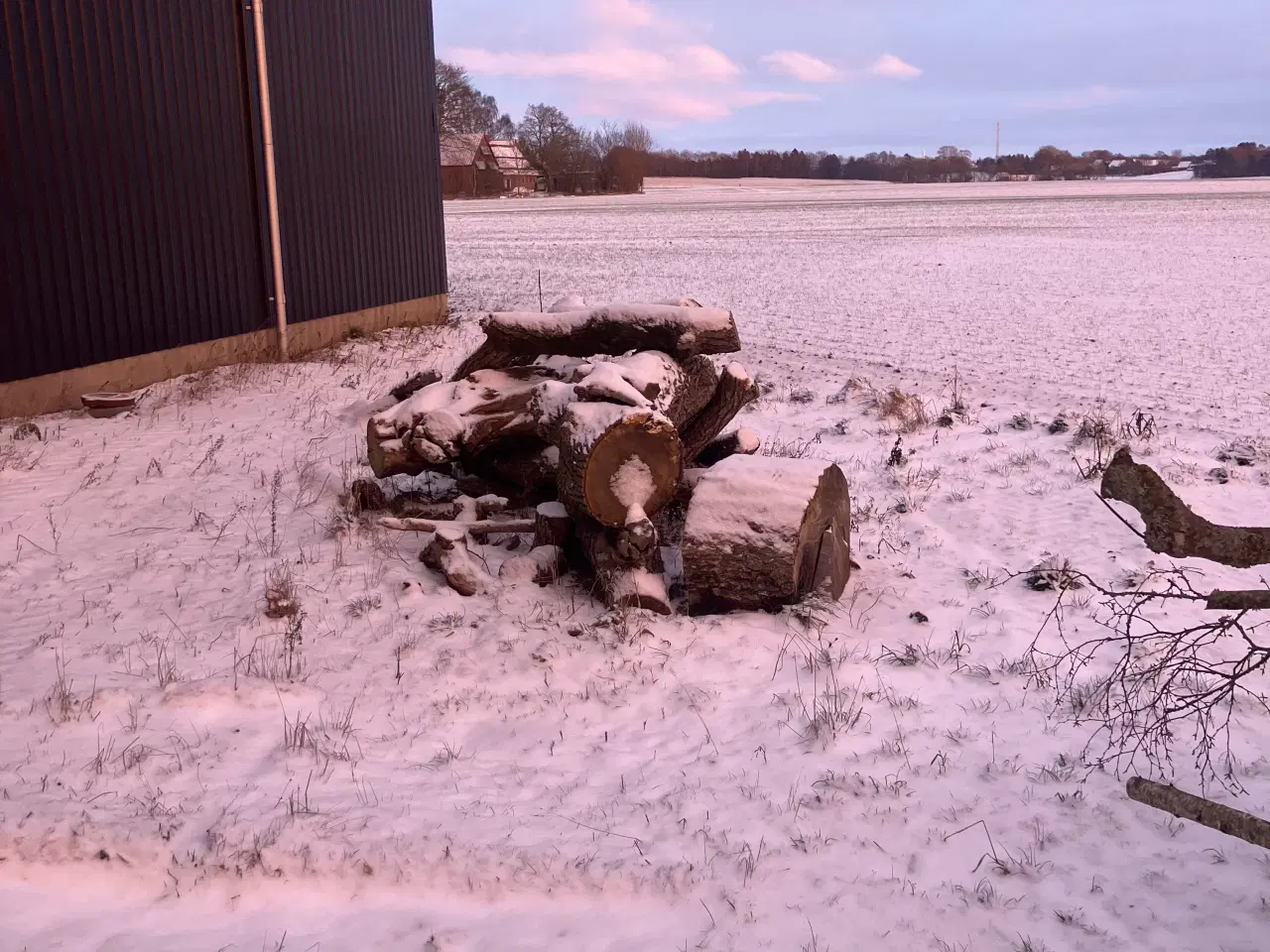 Billede 3 - Brænde ask, eg, el og birk