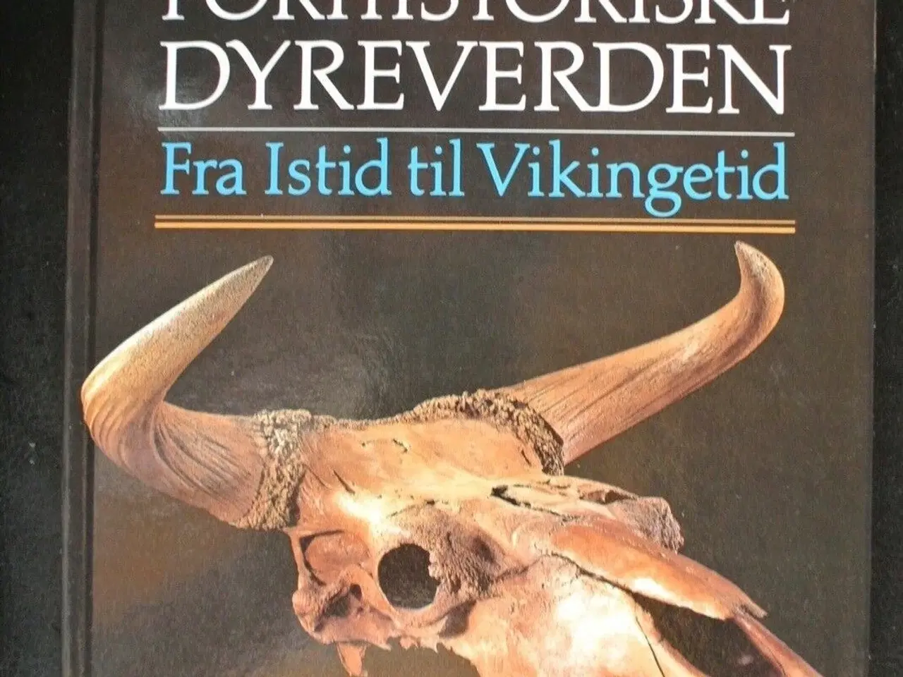 Billede 1 - danmarks forhistoriske dyreverden - fra istid til 