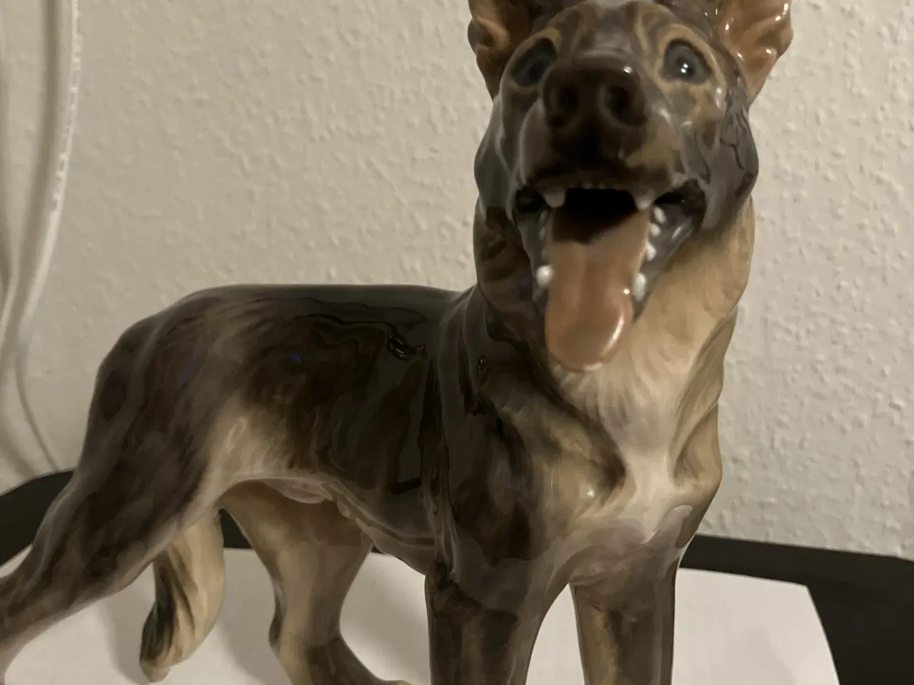 Billede 2 - Flot hund