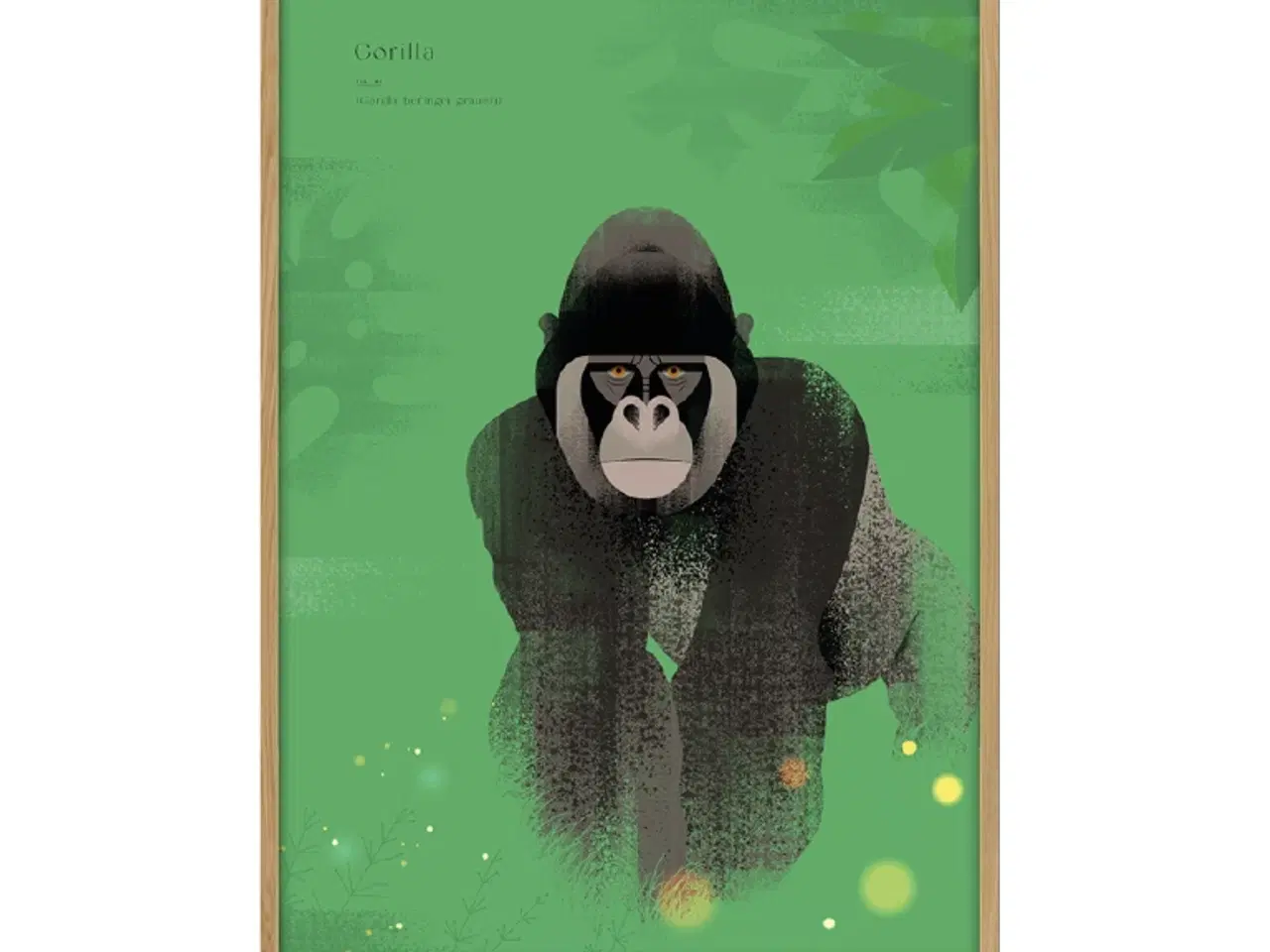 Billede 1 - design plakat Gorilla