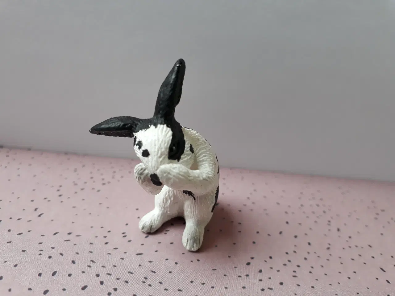 Billede 9 - 5 Hunde og 1 Kanin 