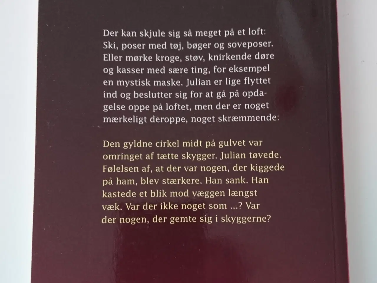 Billede 2 - Loftet. Af Anan Singh og Natalie Normann