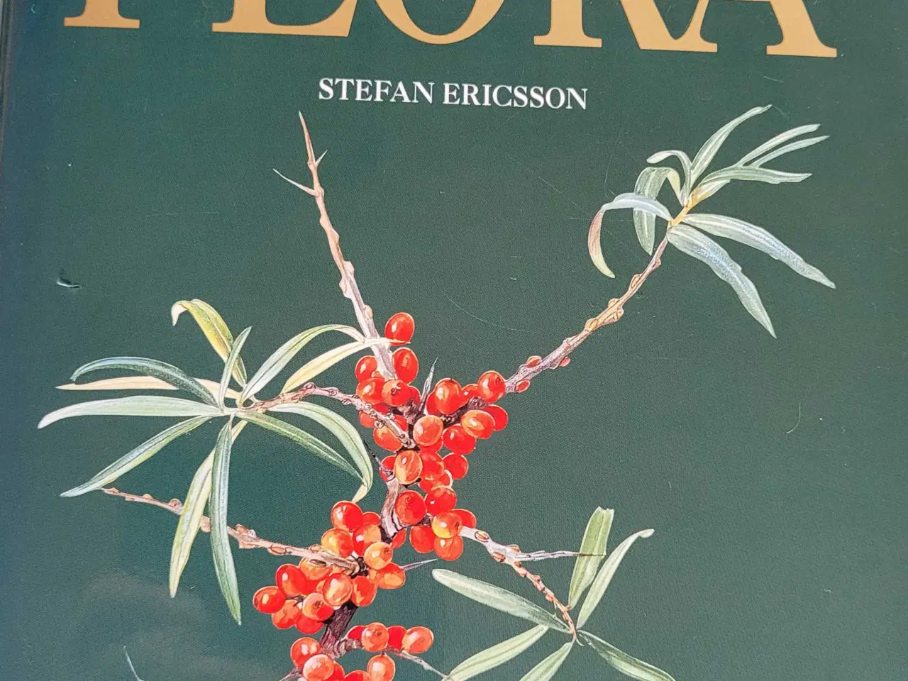 Billede 1 - Den store nordiske flora 