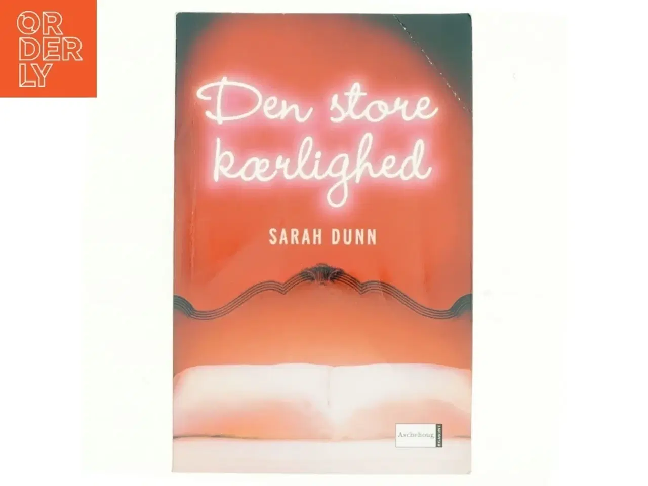 Billede 1 - Den store kærlighed af Sarah Dunn (Bog)