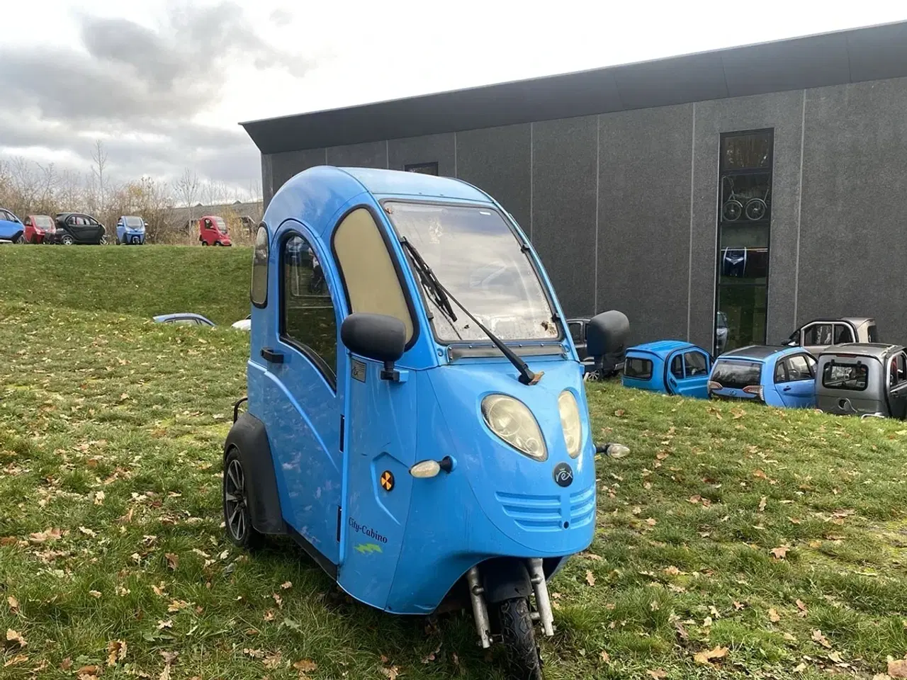 Billede 2 - Rex Cabino blå