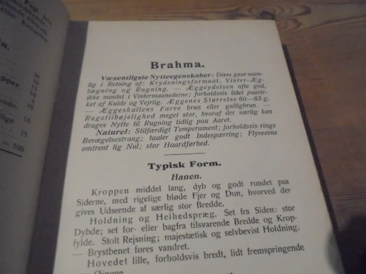 Billede 2 - Skandinavisk Fjerkræ Standard – fra 1934