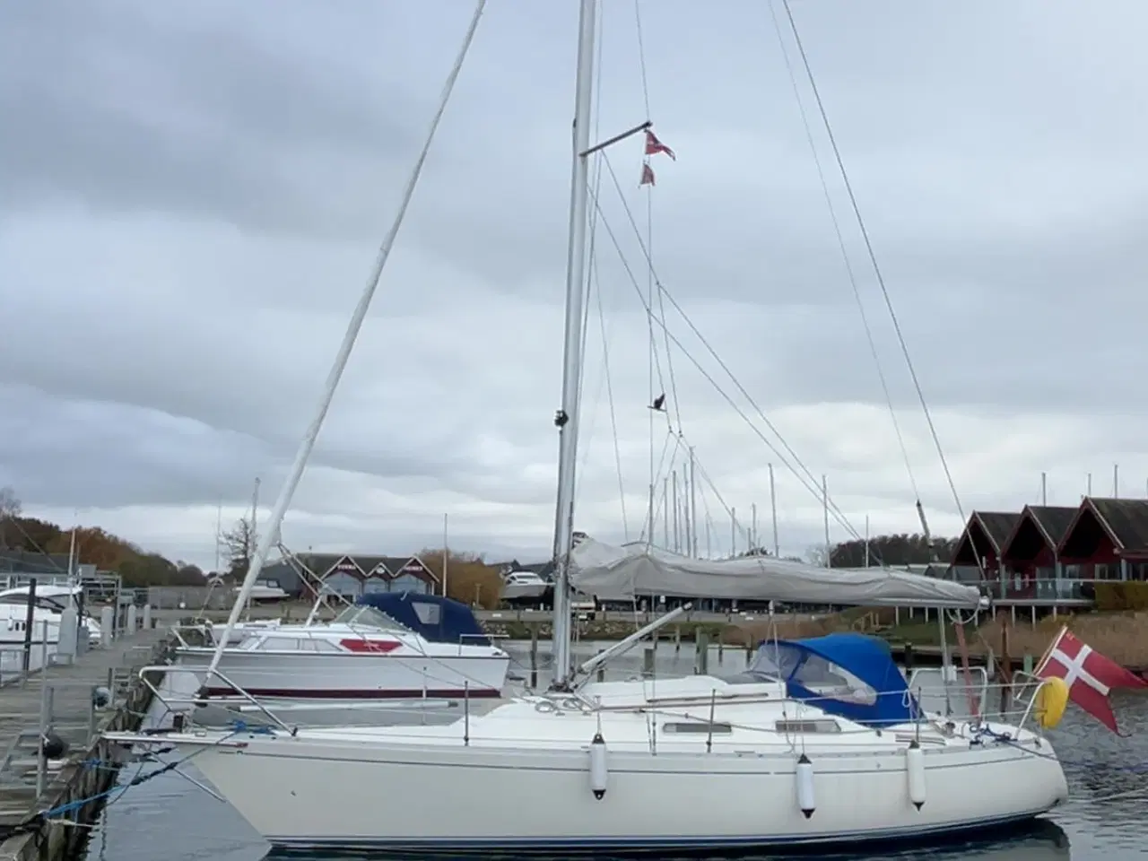 Billede 2 - Omega 30s