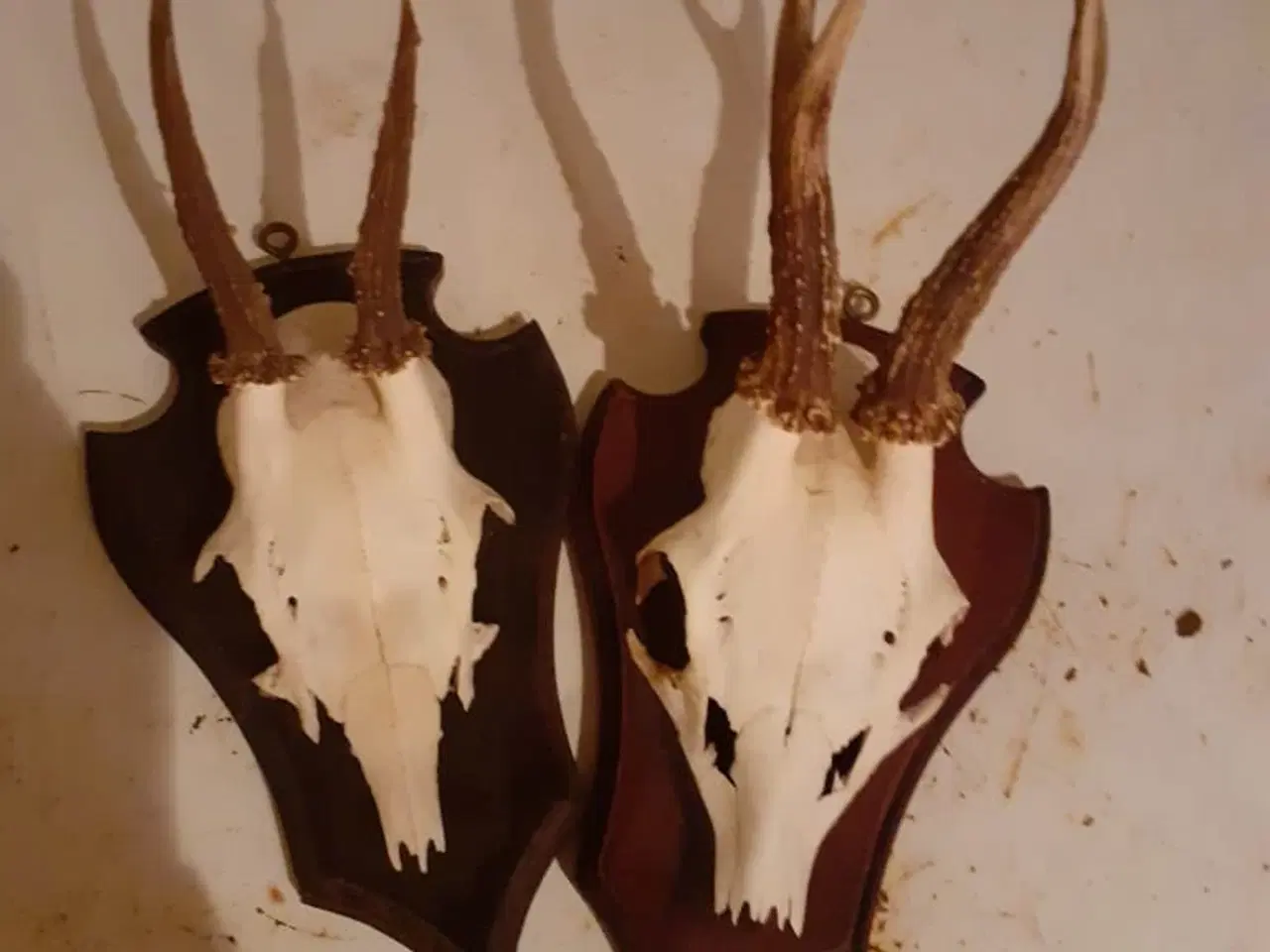 Billede 2 - 2 rådyr opsatser de sælges samlet