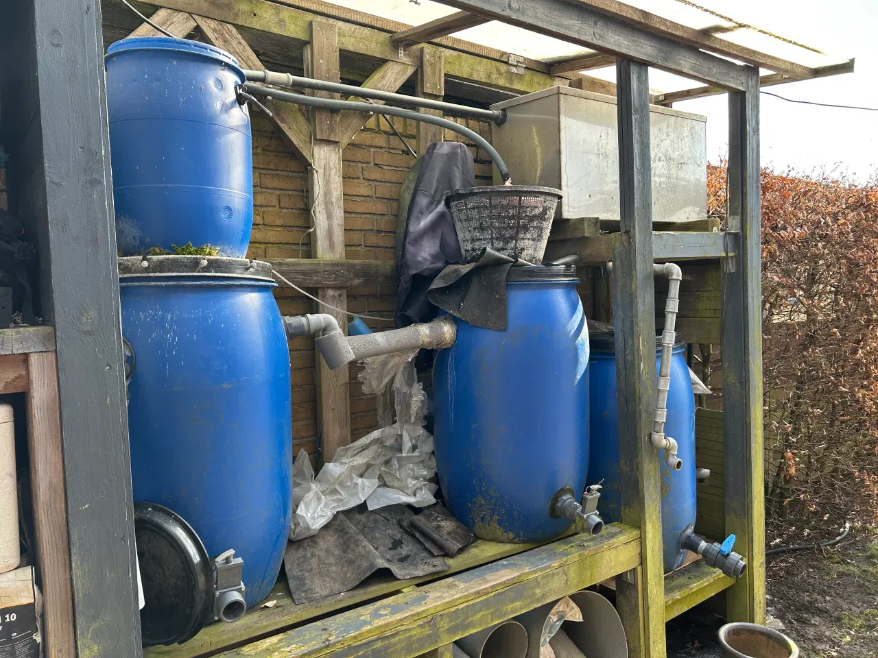 Billede 5 - Havedam sælges 