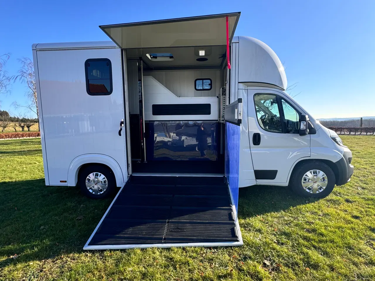 Billede 4 - NY Böckmann Compact Stall hestetransporter