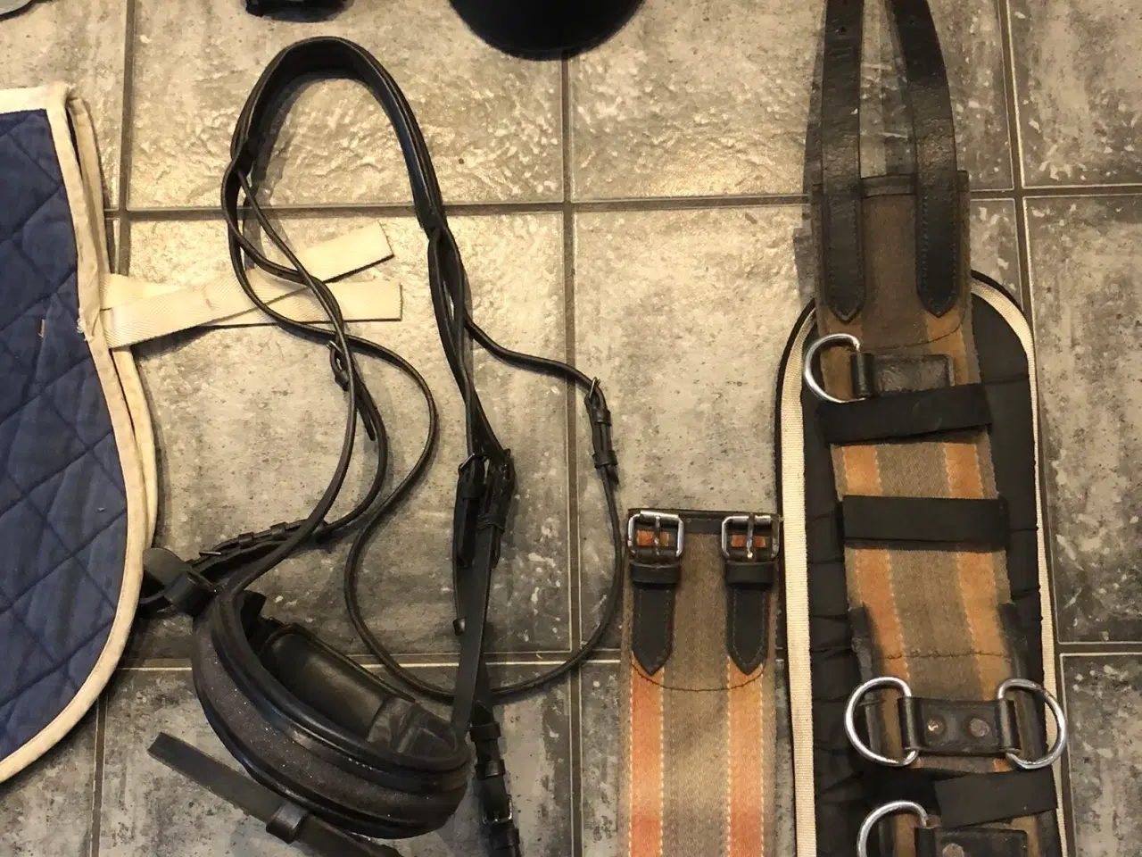 Billede 3 - rideudstyrs pakke med bla trense og longegjord