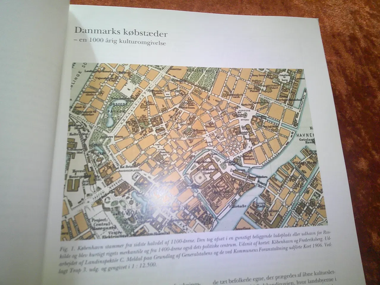 Billede 2 - Danmarks middelalderlige byplaner, Jørgen Elsøe Je