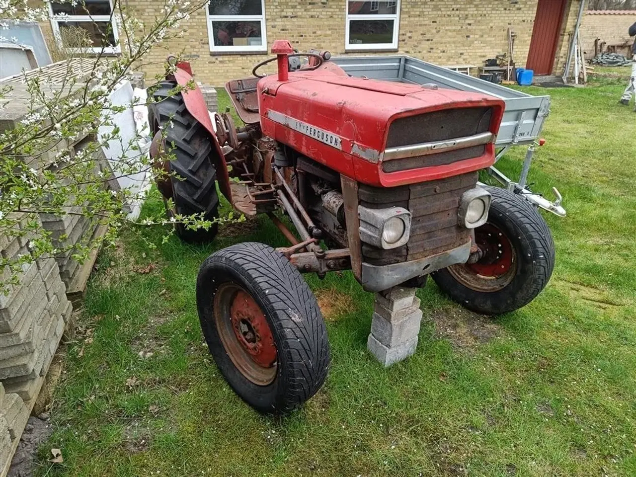 Billede 8 - Massey Ferguson 135 Benzin
