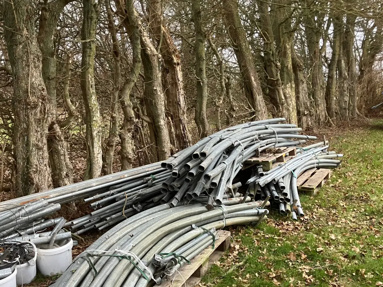 Billede 10 - Tunneldrivhus