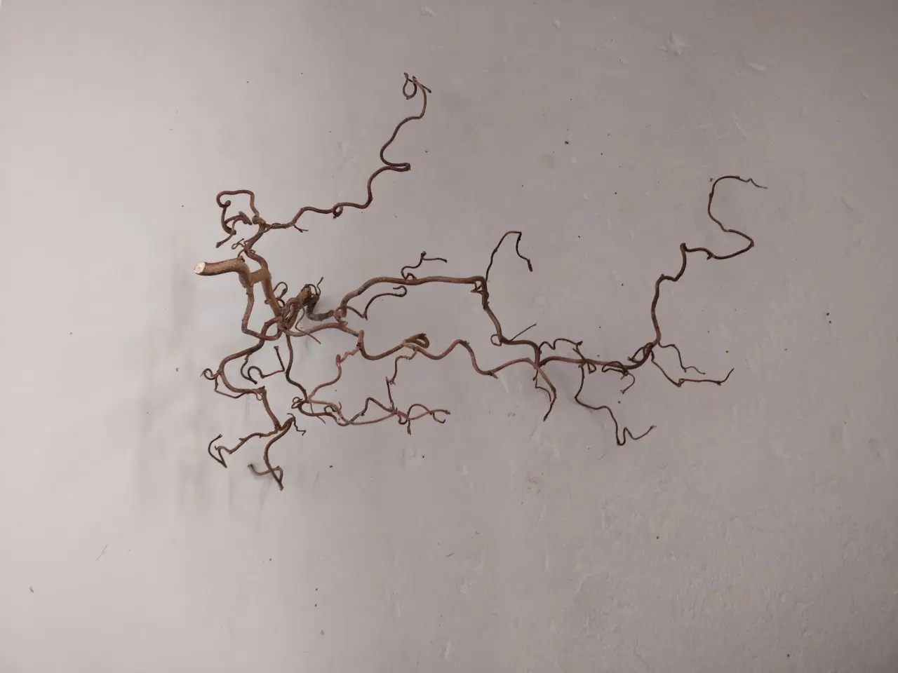 Billede 2 - Troldegren