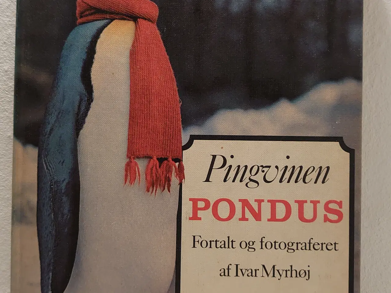 Billede 1 - Ivar Myrhøj: Pingvinen Pondus. 1.udgave år 1966