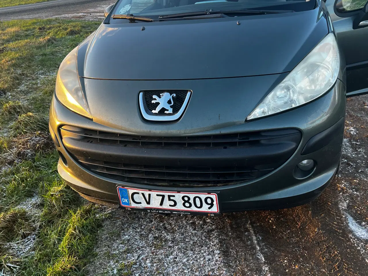 Billede 9 - Peugeot 207  1,6 HDI 16v SW 