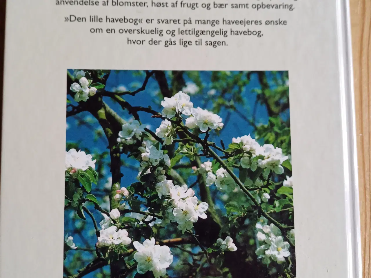 Billede 5 - Den Lille Havebog - Haven året rundt af Martin Sta