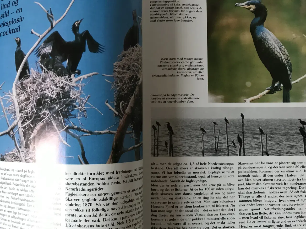 Billede 9 - 4 stk. Naturårsbøger