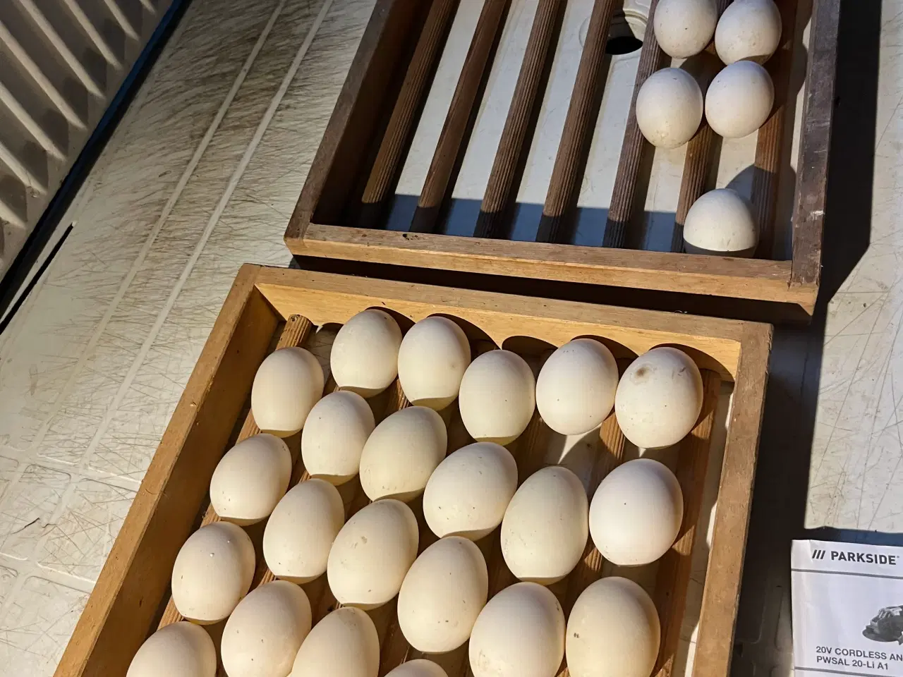 Billede 2 - Landænder rugeæg