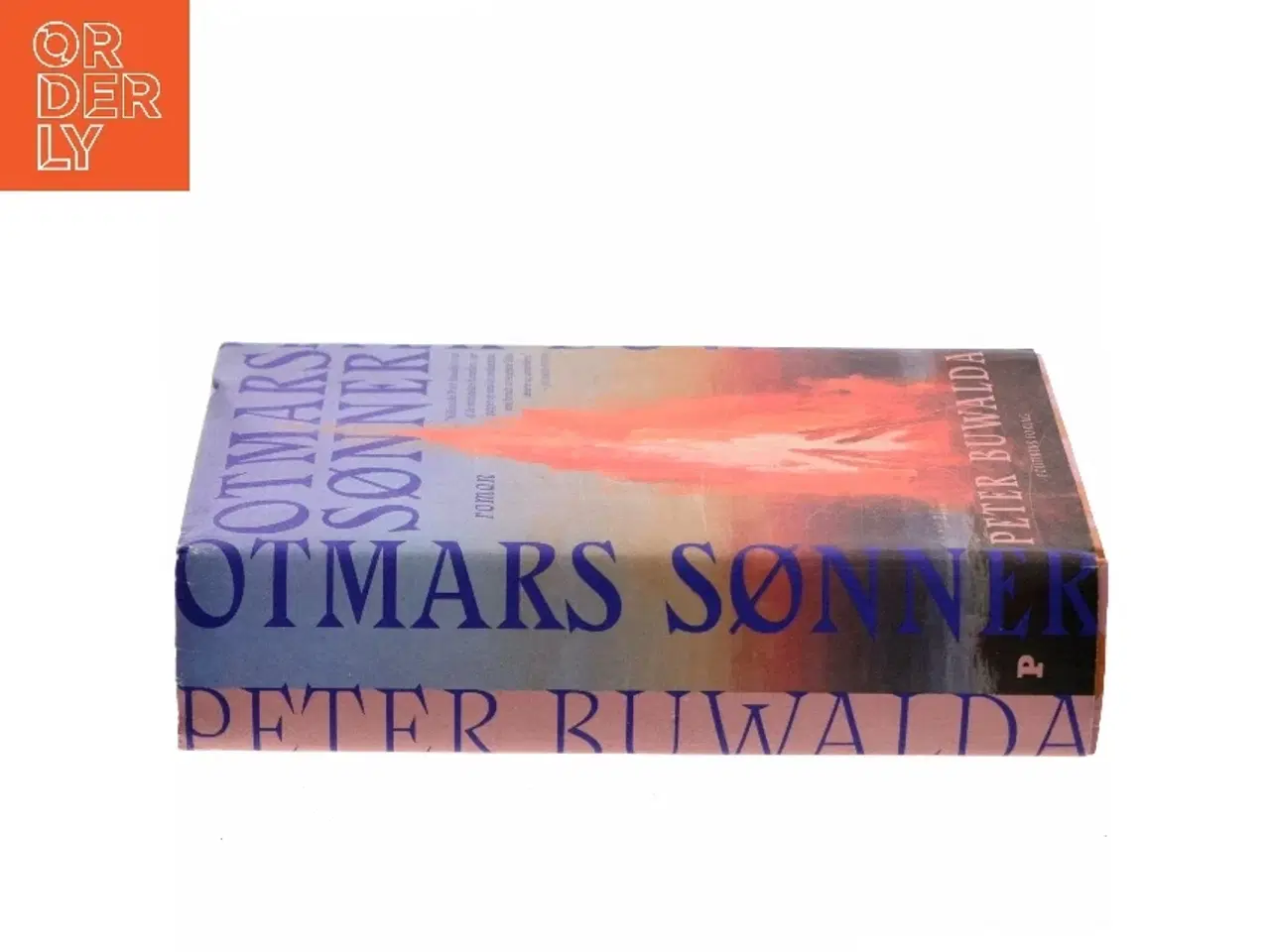 Billede 2 - Otmars sønner af Peter Buwalda (Bog)