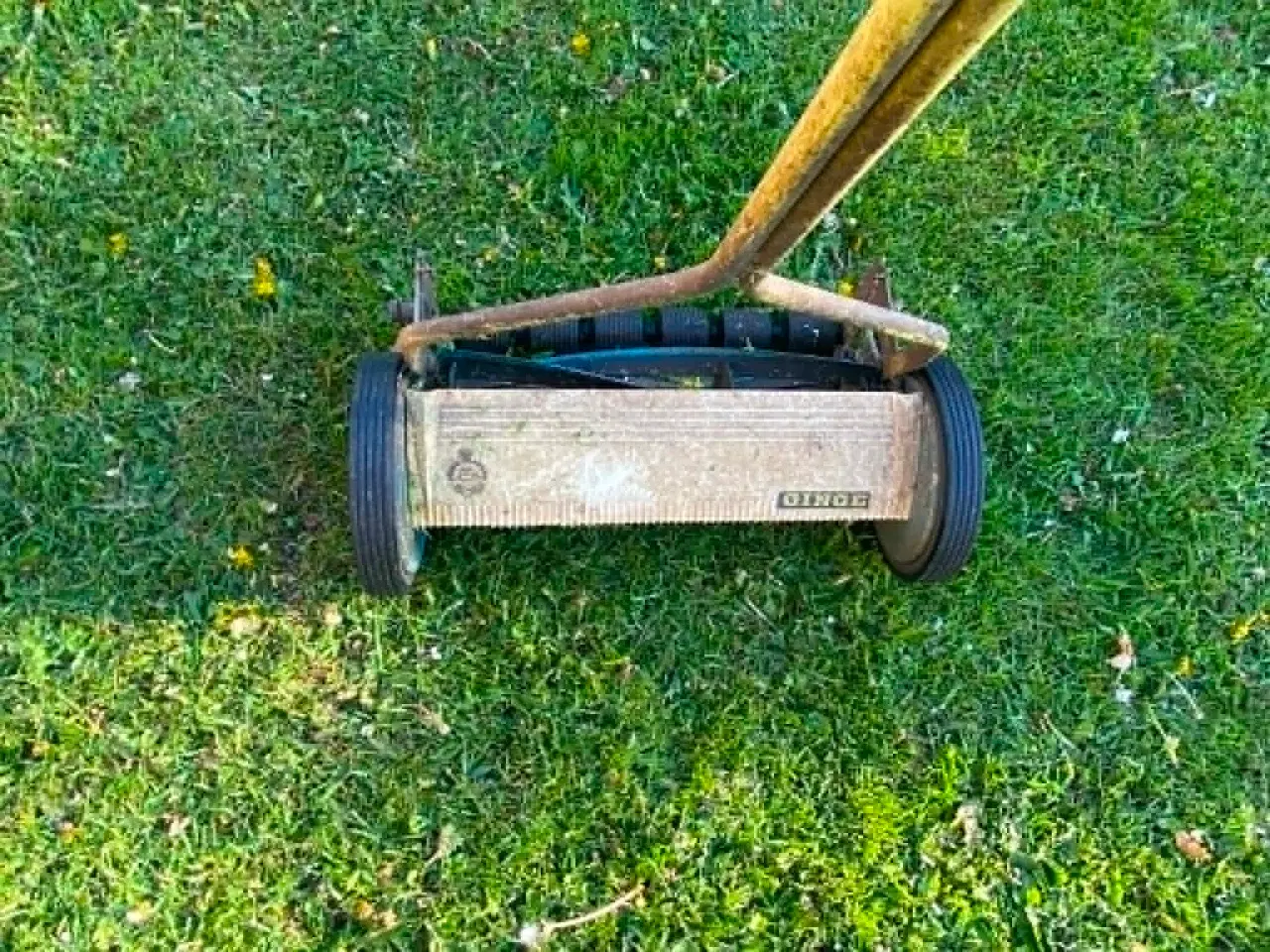 Billede 3 - Cylinderklipper