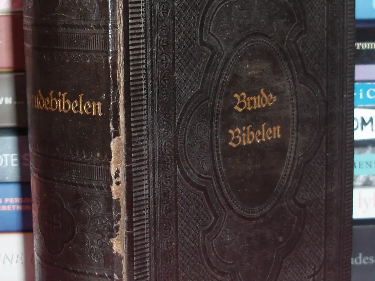 Billede 1 - Brudebibelen anno 1896