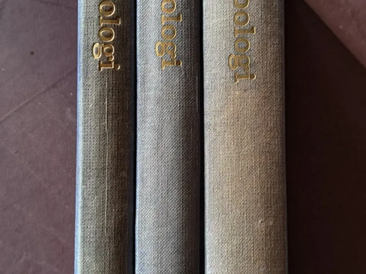 Billede 2 - Boas & Thomsen: Zoologi, vol. 1, 2 og 3