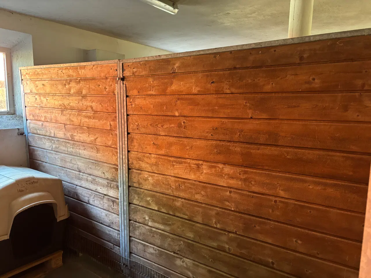 Billede 2 - Hunde bokse