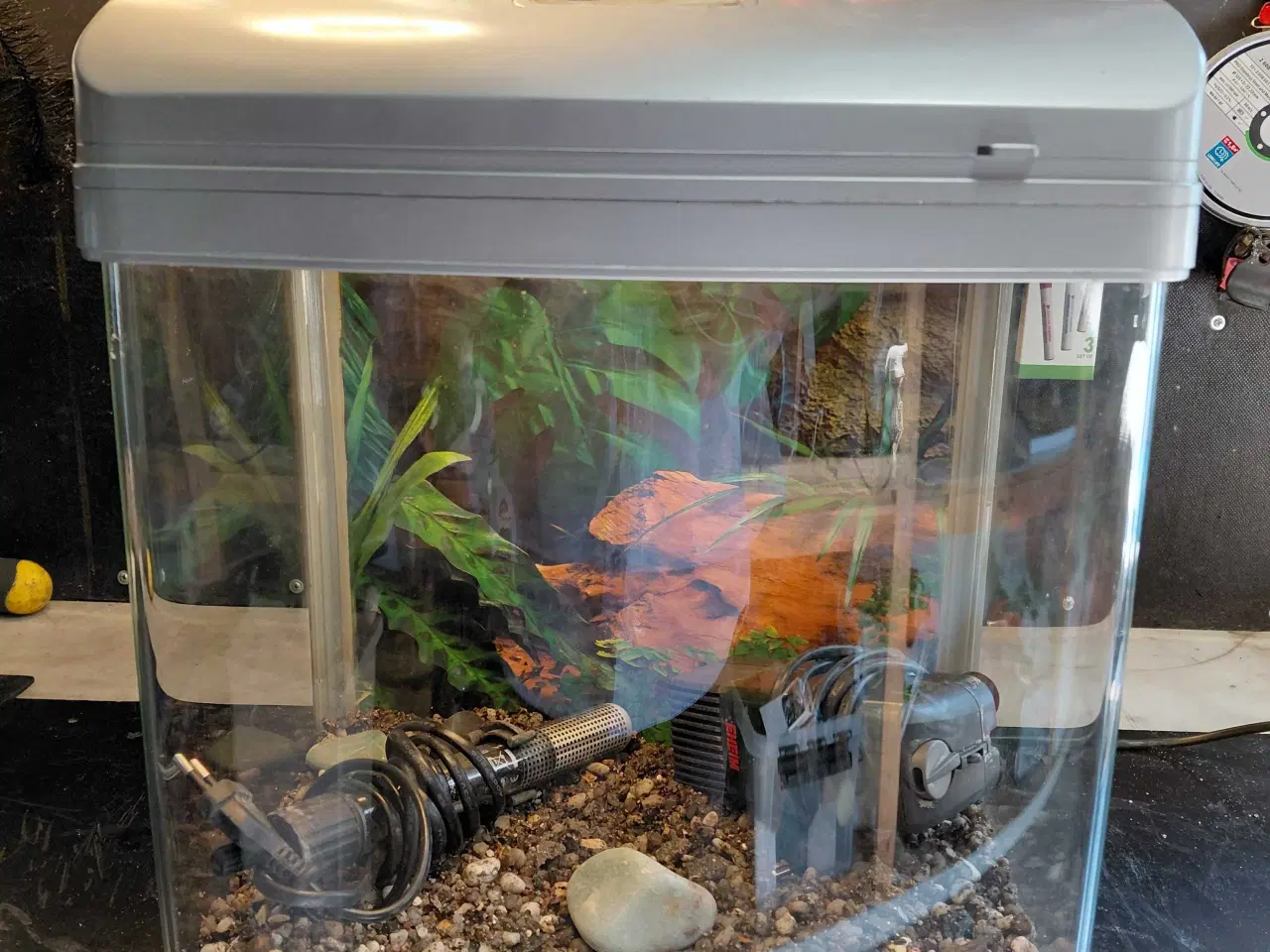 Billede 1 - Akvarier 20L 