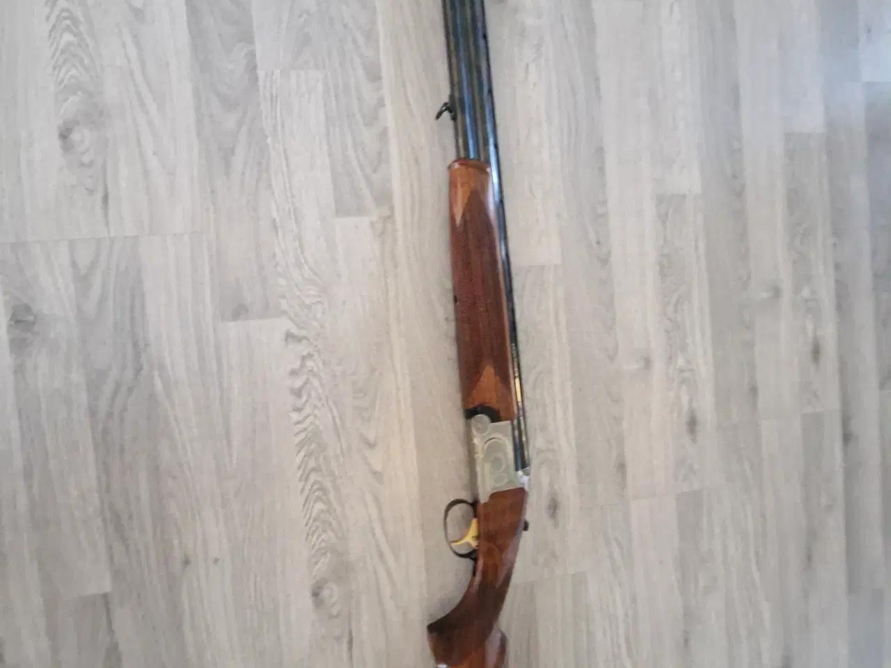 Billede 3 - Saur franche diplomet