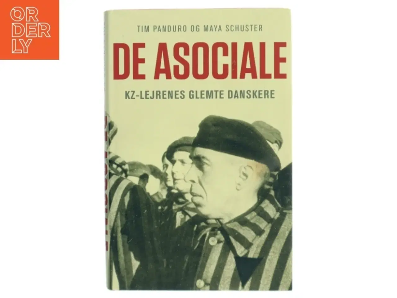 Billede 1 - De asociale : kz-lejrenes glemte danskere af Tim Panduro (Bog)