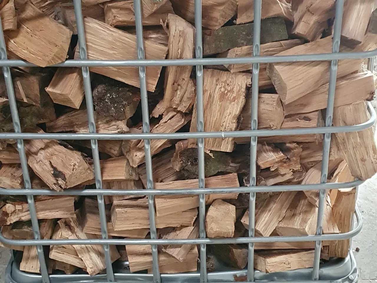 Billede 1 - Asketræ