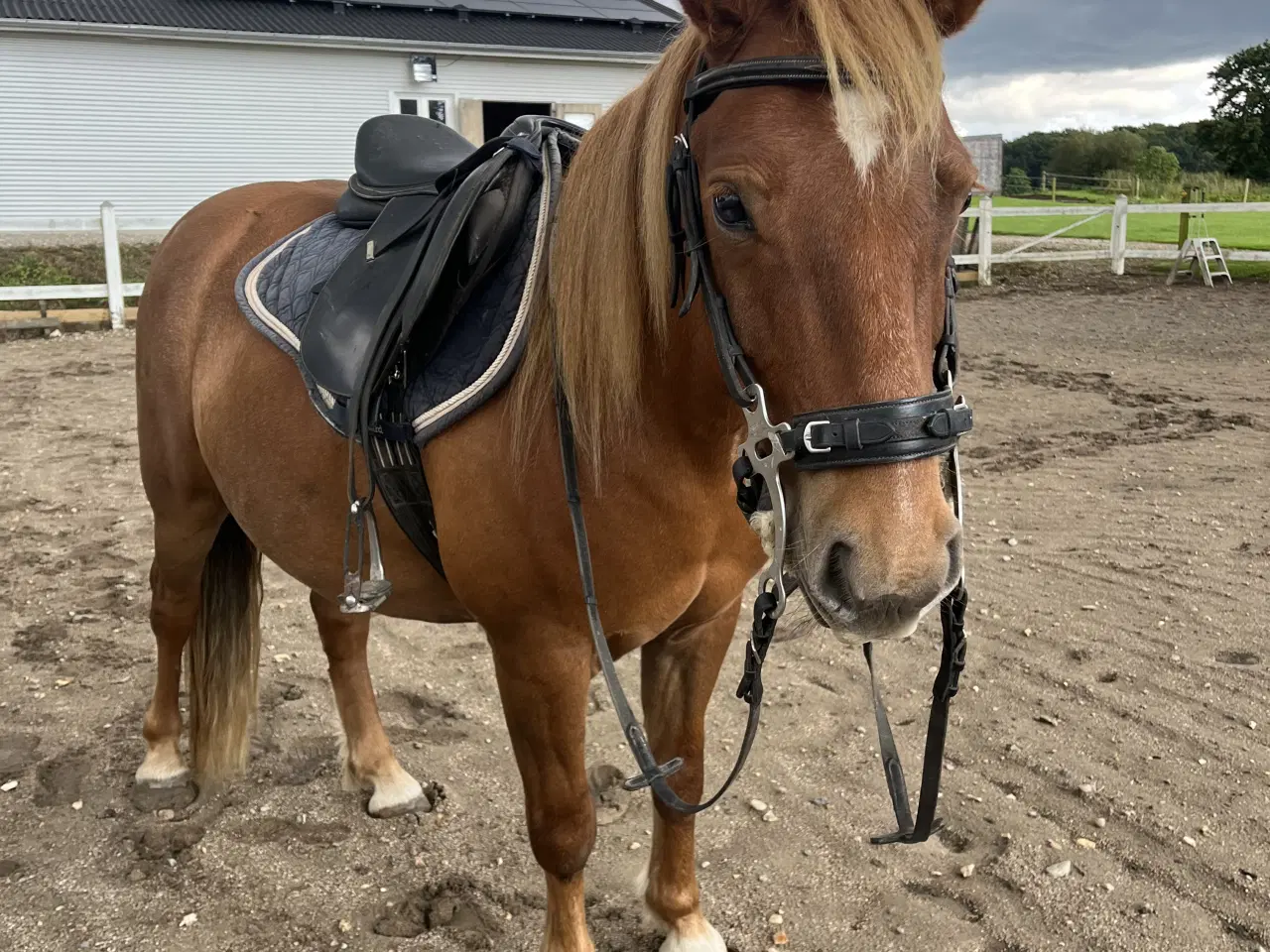 Billede 4 - Hurtigt salg ønskes 