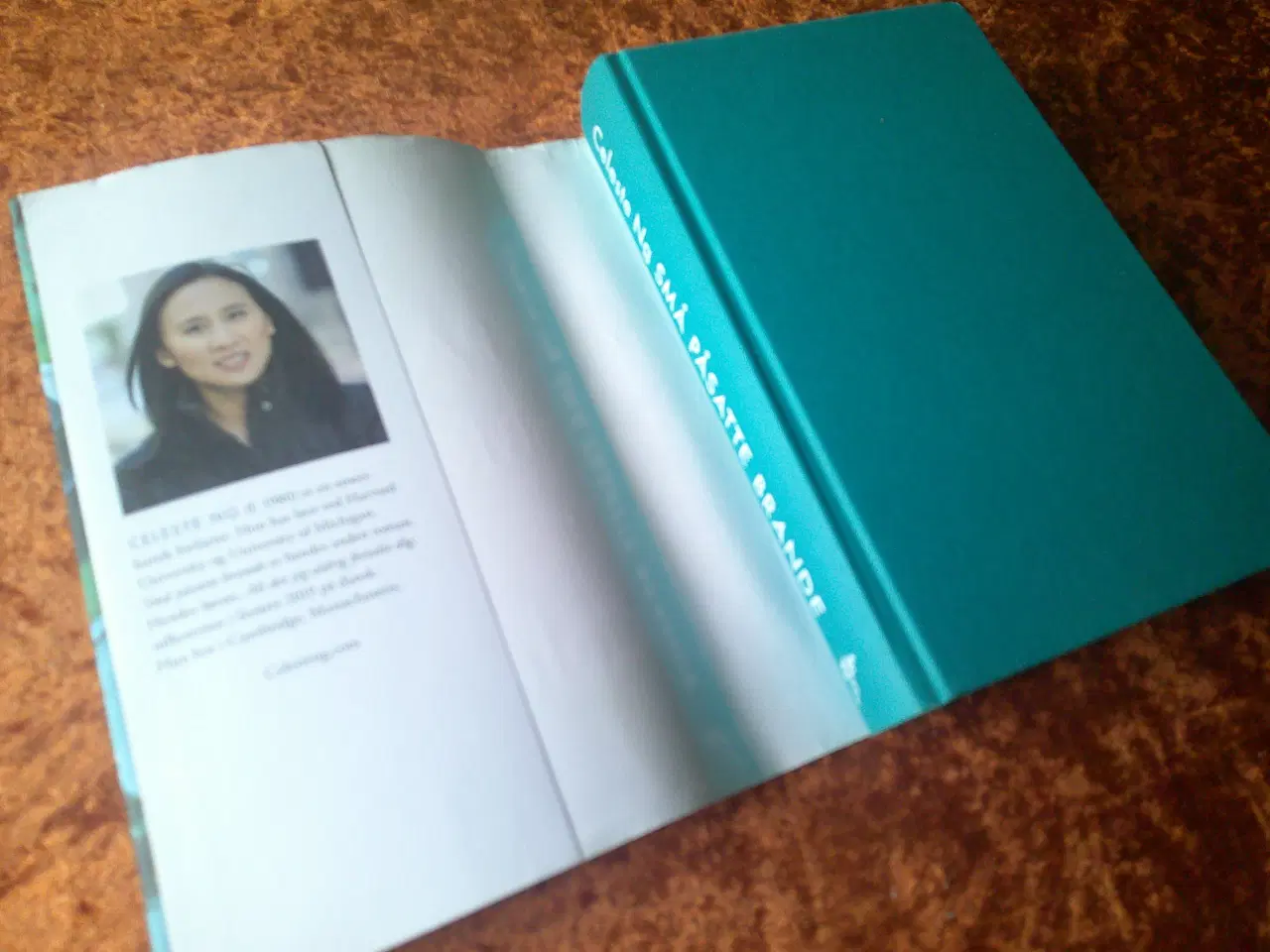 Billede 2 - Små påsatte brande, Celeste Ng