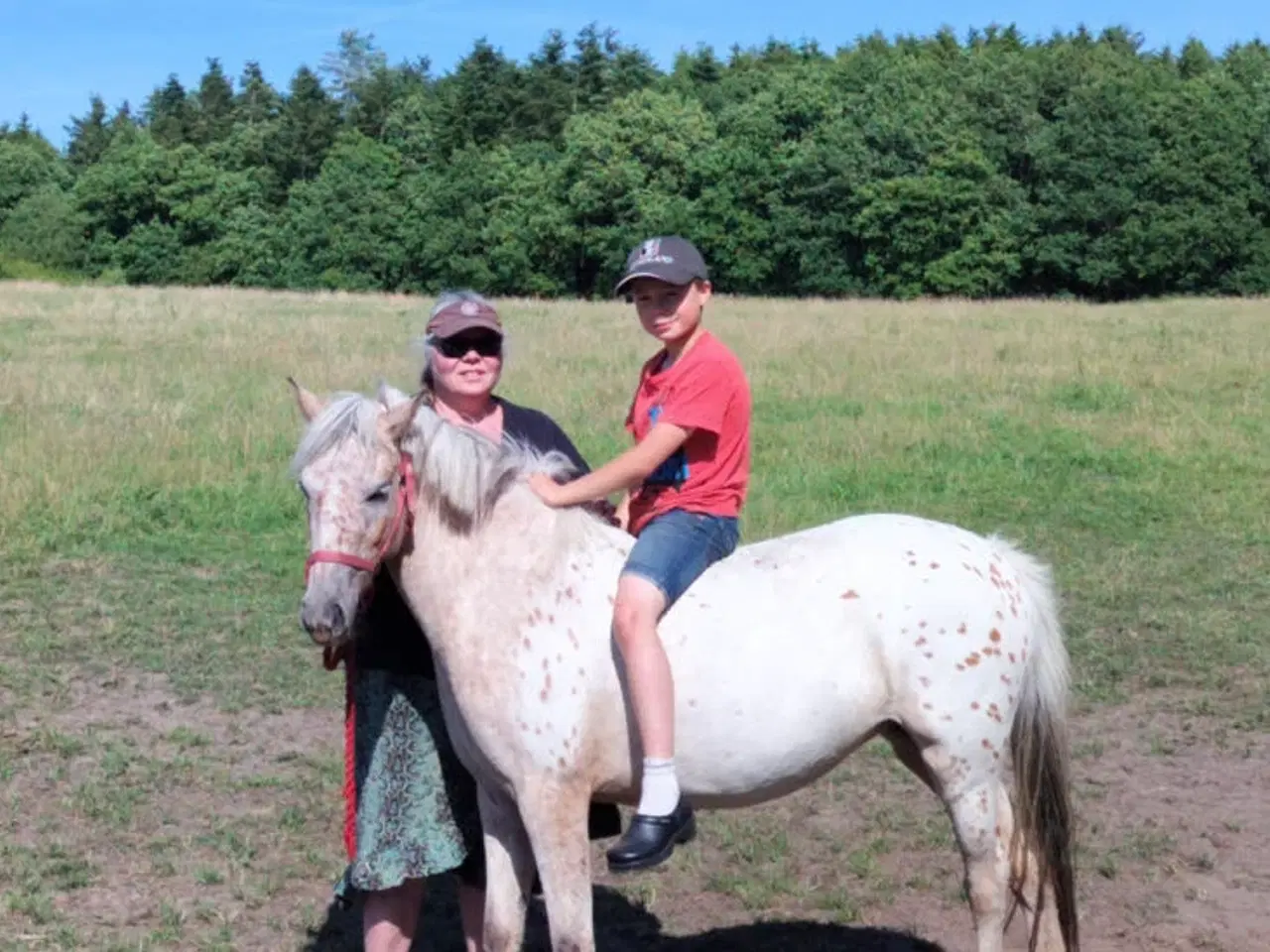 Billede 2 - Ny pris Pony 3år 125cm hoppe