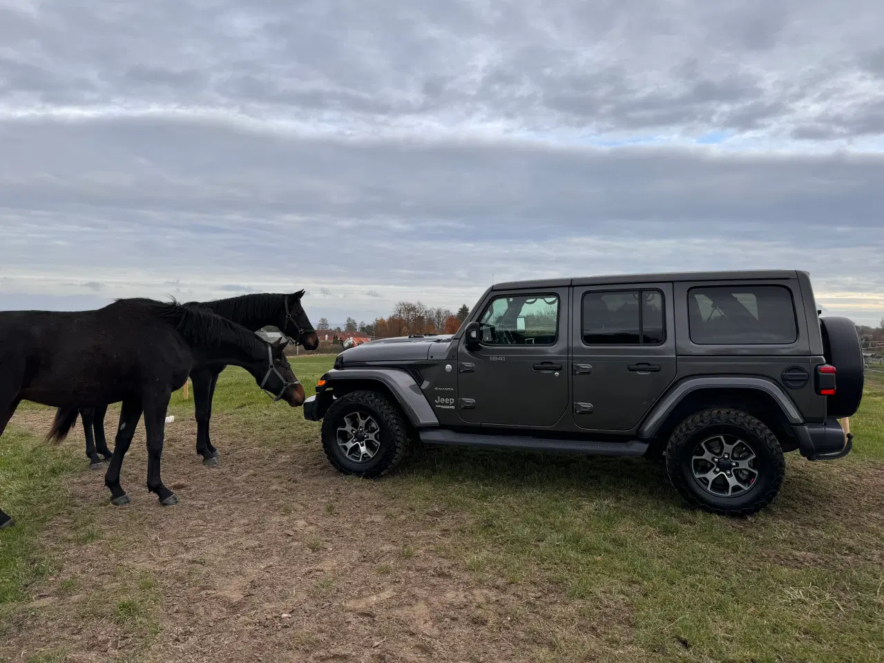 Billede 9 - Jeep Wrangler Sahara 2.0 T-GDi Aut 4X4 Fuld Afgift