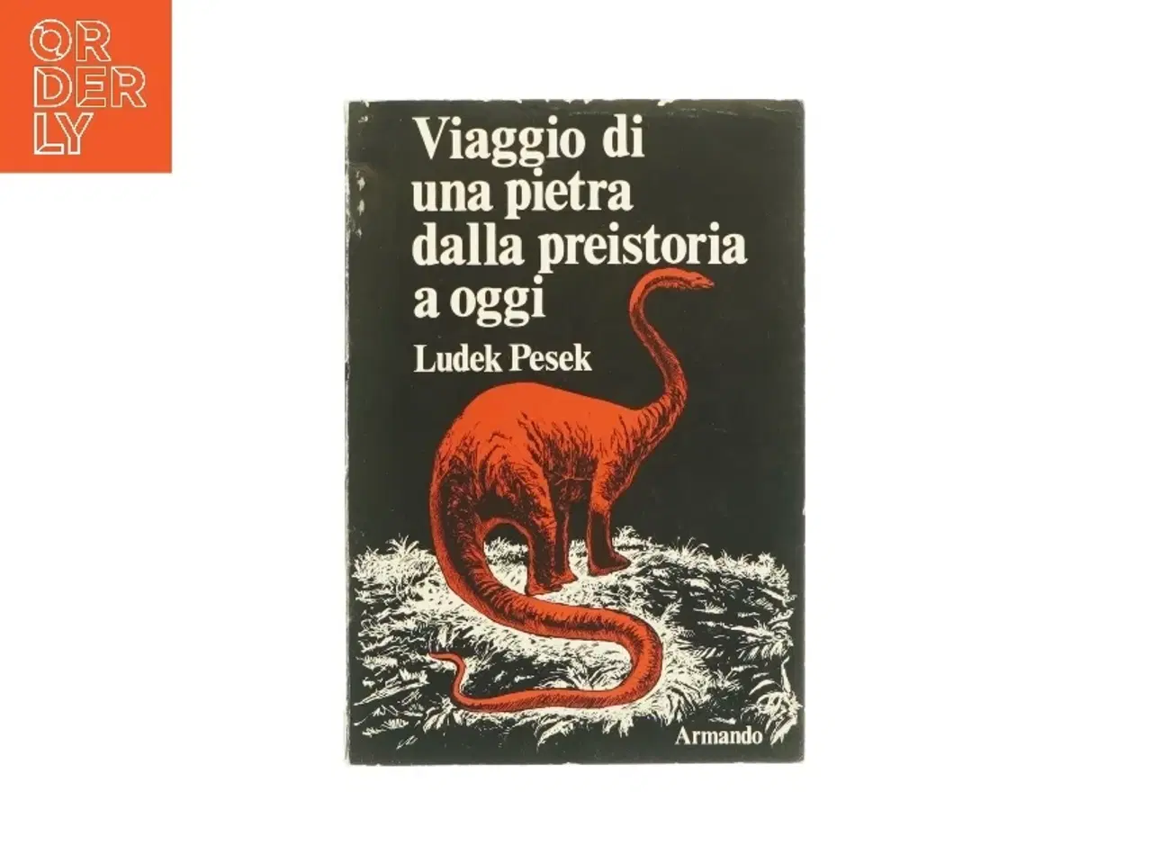 Billede 1 - Viaggio di una pietra dalla preistoria a oggi af Ludek Pesek (bog)