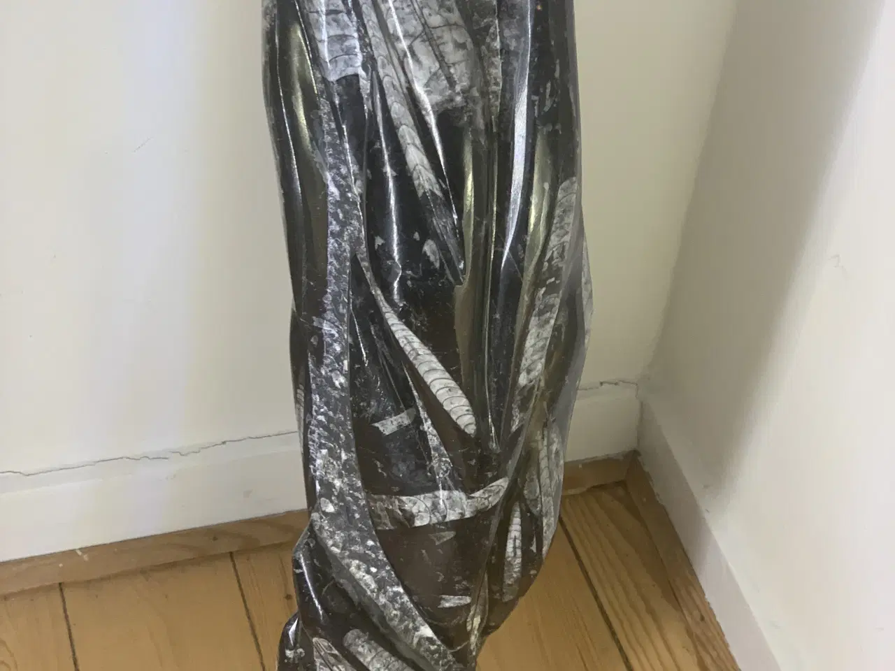 Billede 6 - Unik og meget gammel fossilsten – sjældent fund