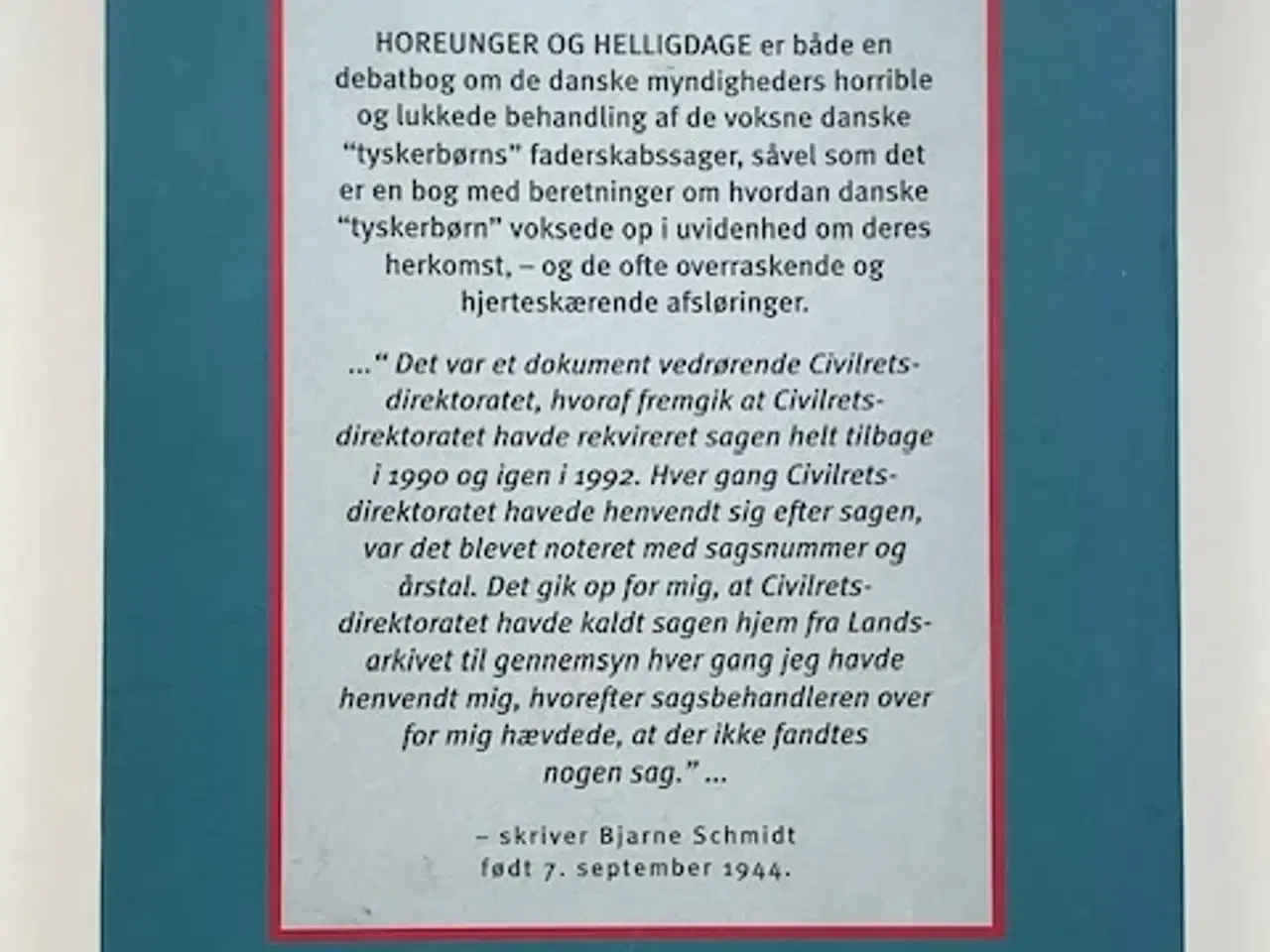 Billede 2 - Horeunger og helligdage - tyskerbørns beretninger