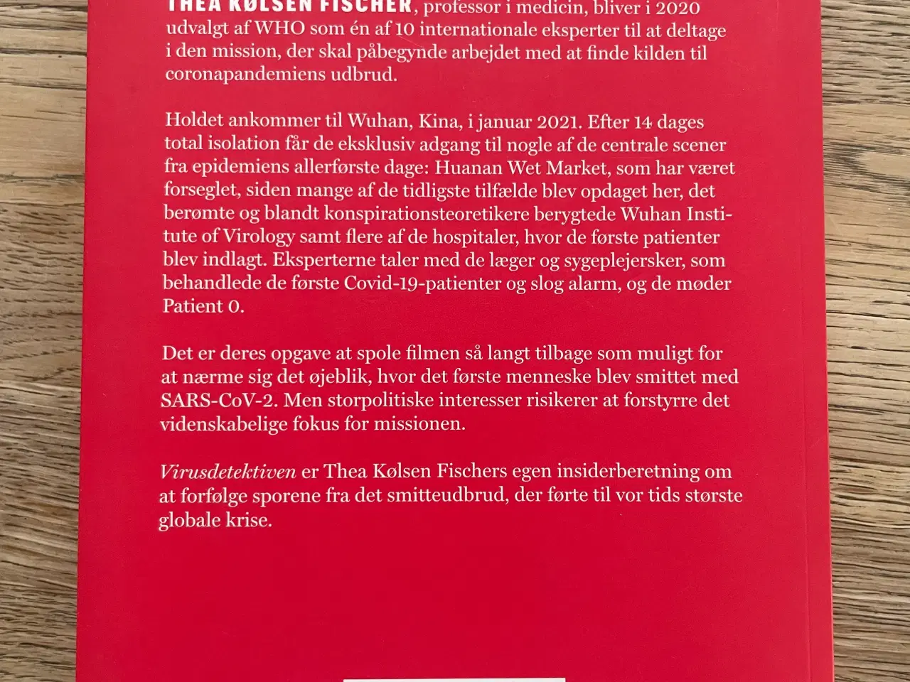 Billede 2 - Virusdetektiven Thea Kølsen Fischer